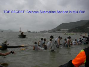 Liechtenstein Princely Navy team at 24 May 2009: Mui Wo Dragon Boat Race